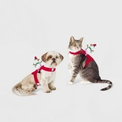 Snowman Rider Dog and Cat Costume - Wondershop™ -Wondershop Sales unnamed file 1027
