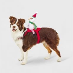 Snowman Rider Dog and Cat Costume - Wondershop™ -Wondershop Sales unnamed file 1029