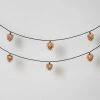 10ct Christmas LED String Lights with Sugared Pine cones Warm White GW - Wondershop™