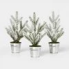 3pc Flocked Mini Tree in Galvanized Metal Bucket Silver - Wondershop™