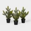3pc Greenery Tree in Black Bucket Green - Wondershop™